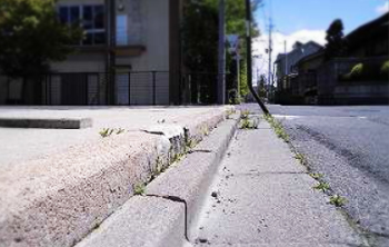 アパート清掃前・草むしり前【郡山市シルバー人材】