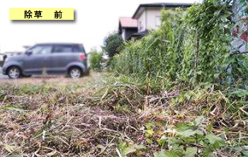 除草・草取り前 - 郡山市シルバー人材シニア応援事業