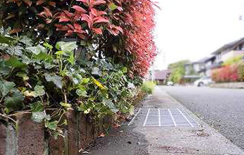 郡山市シルバー人材ご掃除代行【草むしり・庭木手入れ】