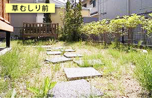 草むしり・草取り・除草前