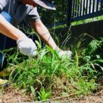 郡山市で除草剤を使わない「草むしり・草刈り」ならお任せください！